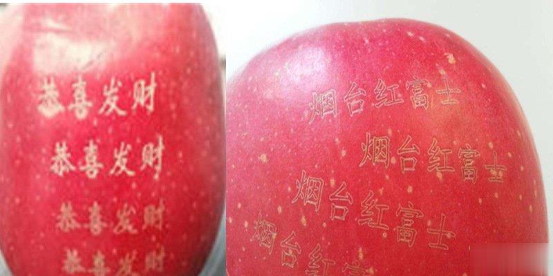 激光打標機在水果上是怎么打標的呢?